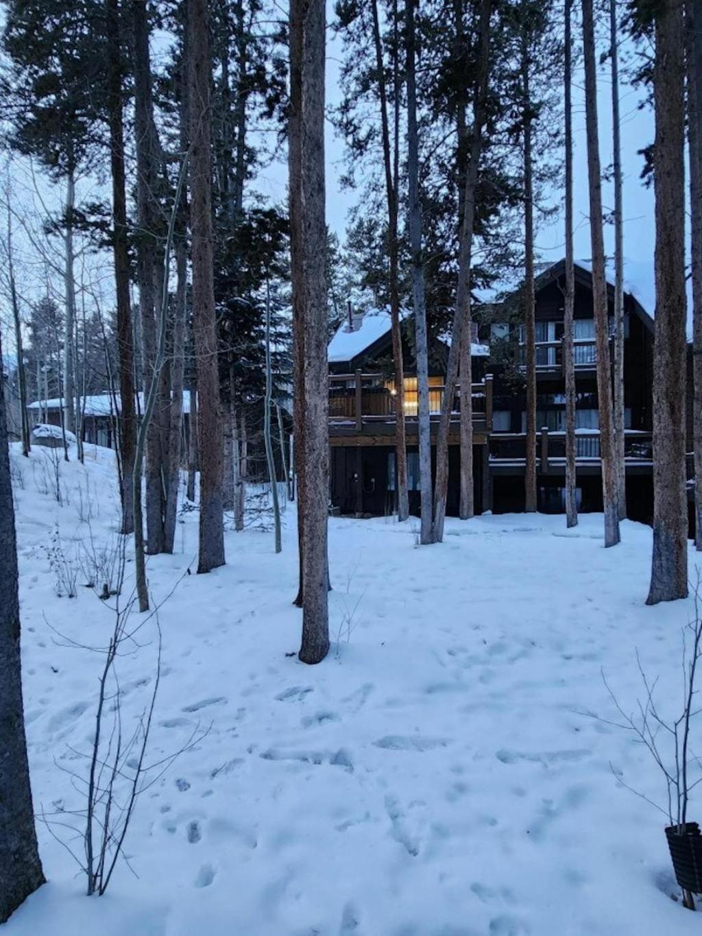 Luxury Modern Townhome Steps To Ski Lifts And Downtown With Nature At Your Patio Breckenridge Bagian luar foto